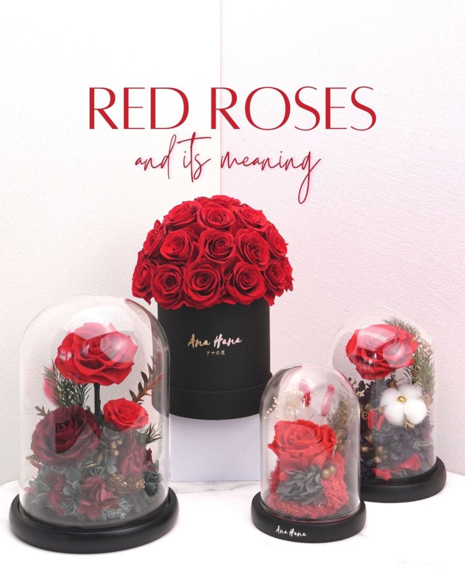 Dried Roses, Red Color 12 Roses Total Beautiful Aroma And Color