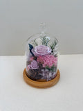 Carnation Bell Jar - Paddle Pop Purple - Flowers - Preserved Flowers & Fresh Flower Florist Gift Store