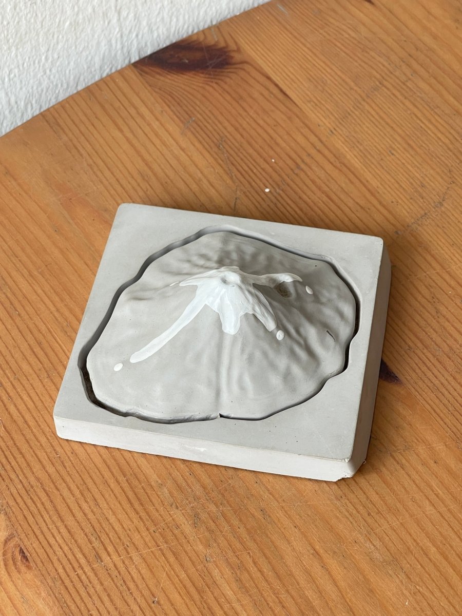 Imperfect Preserved Flowers (AS - IS) - Read Description - Flowers - clay diffuser - volcano - Preserved Flowers & Fresh Flower Florist Gift Store