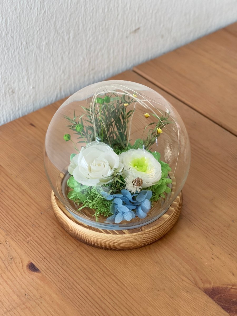 Imperfect Preserved Flowers (AS - IS) - Read Description - Flowers - Hazelynn (no light) - Preserved Flowers & Fresh Flower Florist Gift Store