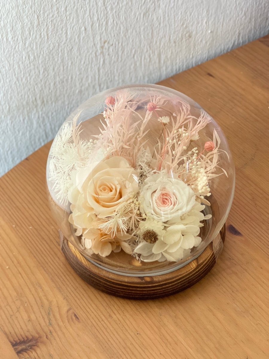 Imperfect Preserved Flowers (AS - IS) - Read Description - Flowers - rose champagne no light - Preserved Flowers & Fresh Flower Florist Gift Store