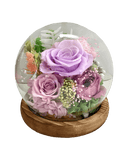 Imperfect Preserved Flowers (AS - IS) - Read Description - Flowers - rose purple blowball (no light) - Preserved Flowers & Fresh Flower Florist Gift Store