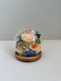 Rose Blowball - Champagne - Flowers - Preserved Flowers & Fresh Flower Florist Gift Store