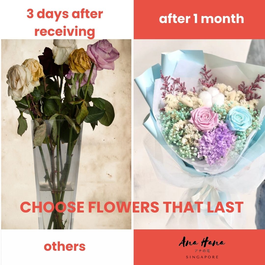Tasha Preserved Flower Bouquet - Everlasting Mother's Day Roses - Flowers - Pink - Preserved Flowers & Fresh Flower Florist Gift Store