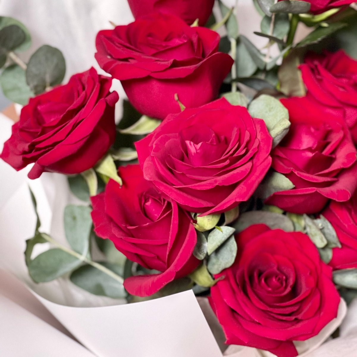 Budding Romance - Flower - Eucalyptus - Preserved Flowers & Fresh Flower Florist Gift Store