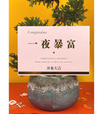 Grand Opening Greeting Card - Add Ons - Congratulation on your fortune (blush) - Preserved Flowers & Fresh Flower Florist Gift Store