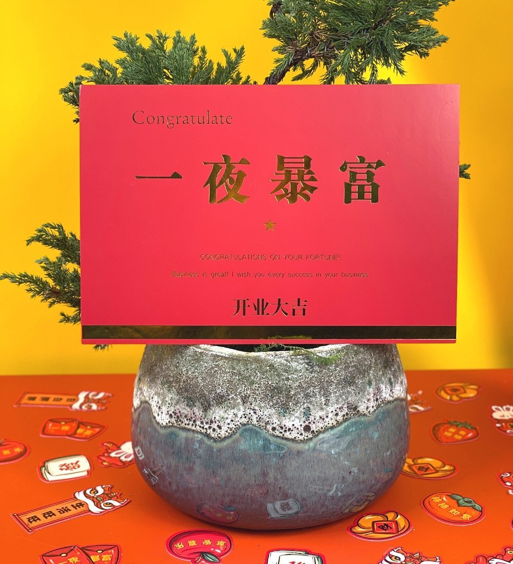 Grand Opening Greeting Card - Add Ons - Congratulation on your fortune (red) - Preserved Flowers & Fresh Flower Florist Gift Store