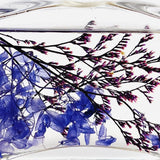 Kiki Aromatherapy Scent Diffuser - 100ml - Scent - Lavender Garden - Preserved Flowers & Fresh Flower Florist Gift Store