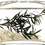 Kiki Aromatherapy Scent Diffuser - 100ml - Scent - Westin - Preserved Flowers & Fresh Flower Florist Gift Store