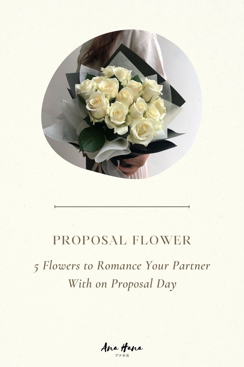 5 Flowers to Romance Your Partner With on Proposal Day - Ana Hana Flower