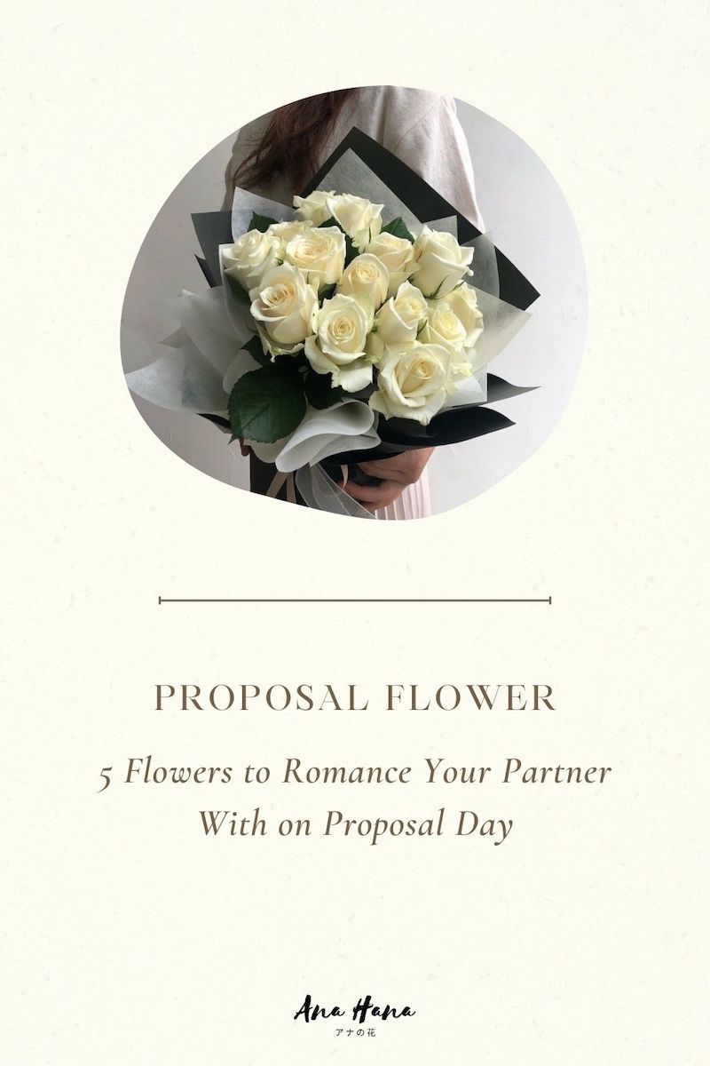 Ufa Proposal Roses 5 Flowers to Romance Your Partner With on Proposal Day – Ana Hana Flower