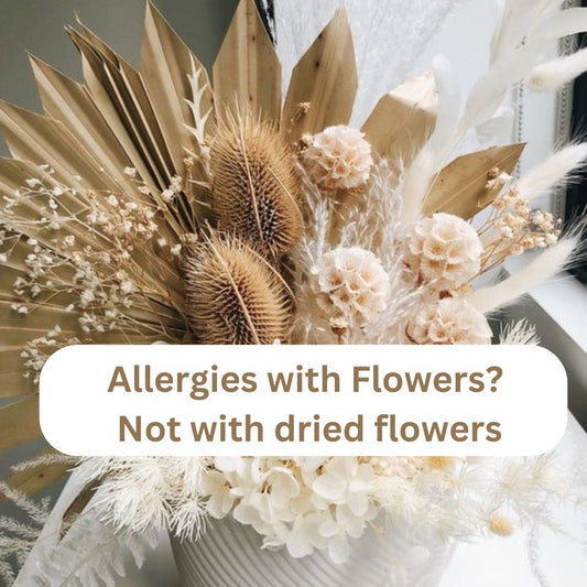Allergies with Flowers? Not with dried flowers - Ana Hana Flower
