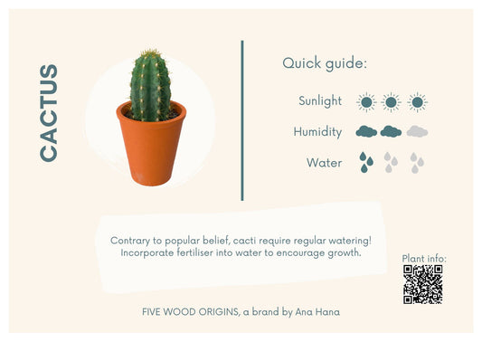Caring for your Cactus - Ana Hana Flower