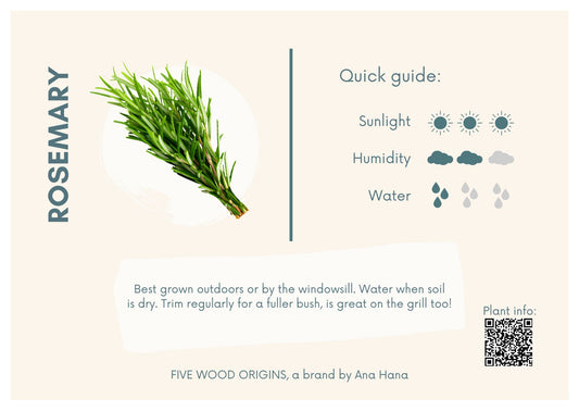 Caring for your Rosemary Plant - Ana Hana Flower