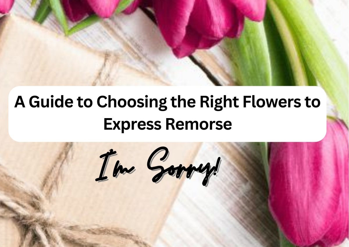 I'm Sorry Flowers: A Guide to Choosing the Right Flowers to Express Re ...