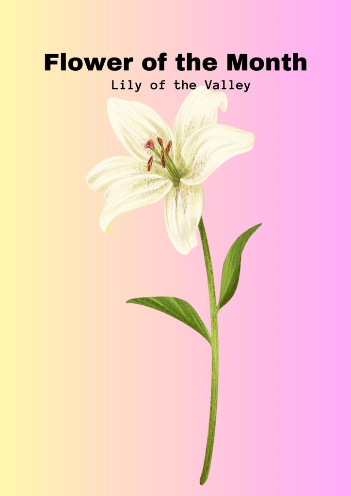 Lily of the Valley: Delicate Fragrant Beauty of Spring