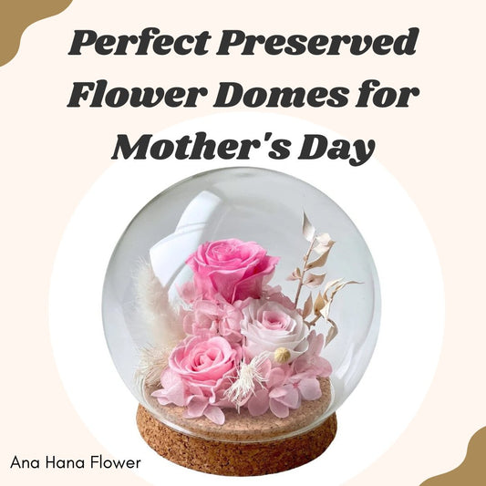 Perfect Preserved Flower Domes for Mother's Day - Ana Hana Flower