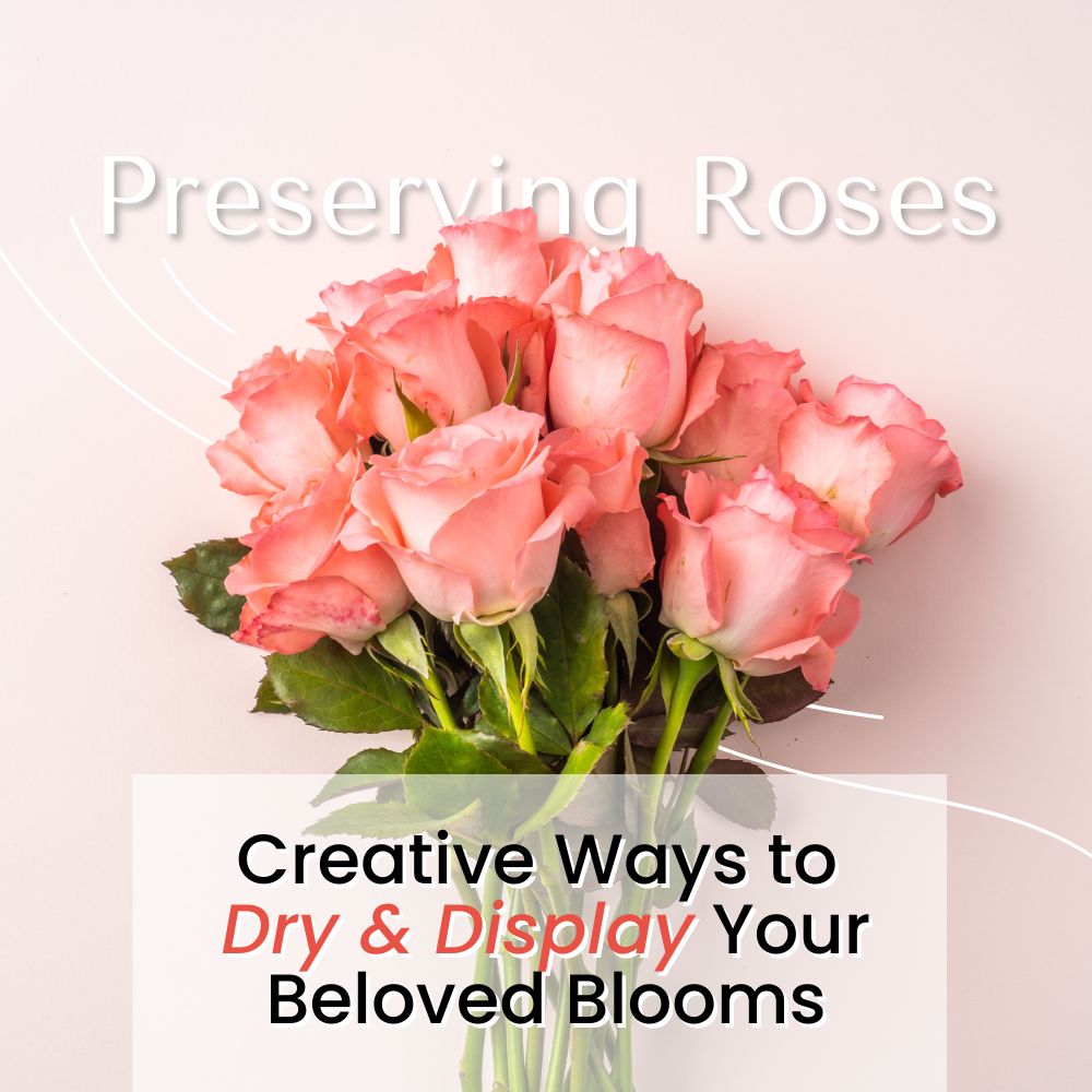 Preserving Roses: Creative Techniques for Lasting Beauty – Ana Hana Flower