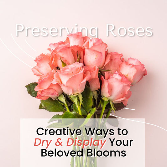 Preserving Roses: Creative Ways to Dry and Display Your Beloved Blooms - Ana Hana Flower