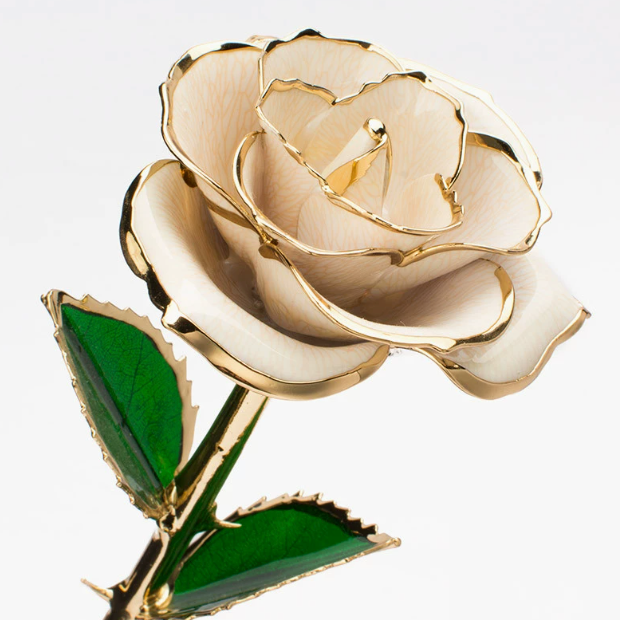 Eternal Preserved Rose Bloom - Real Rose Preserved - Eternal Love Series