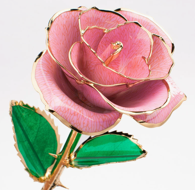 Eternal Preserved Rose Bloom - Real Rose Preserved - Eternal Love Series