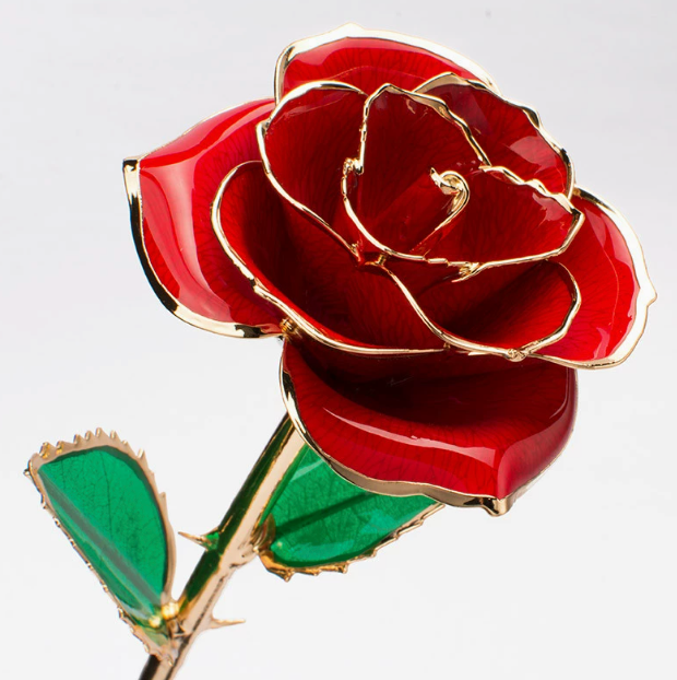 Eternal Preserved Rose Bloom - Real Rose Preserved - Eternal Love Series