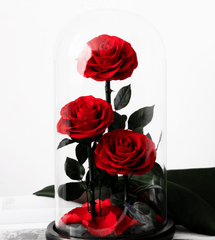 3 Rose - Single Preserved Rose - Preserved Flower Dome - Flowers - red - Preserved Flowers & Fresh Flower Florist Gift Store