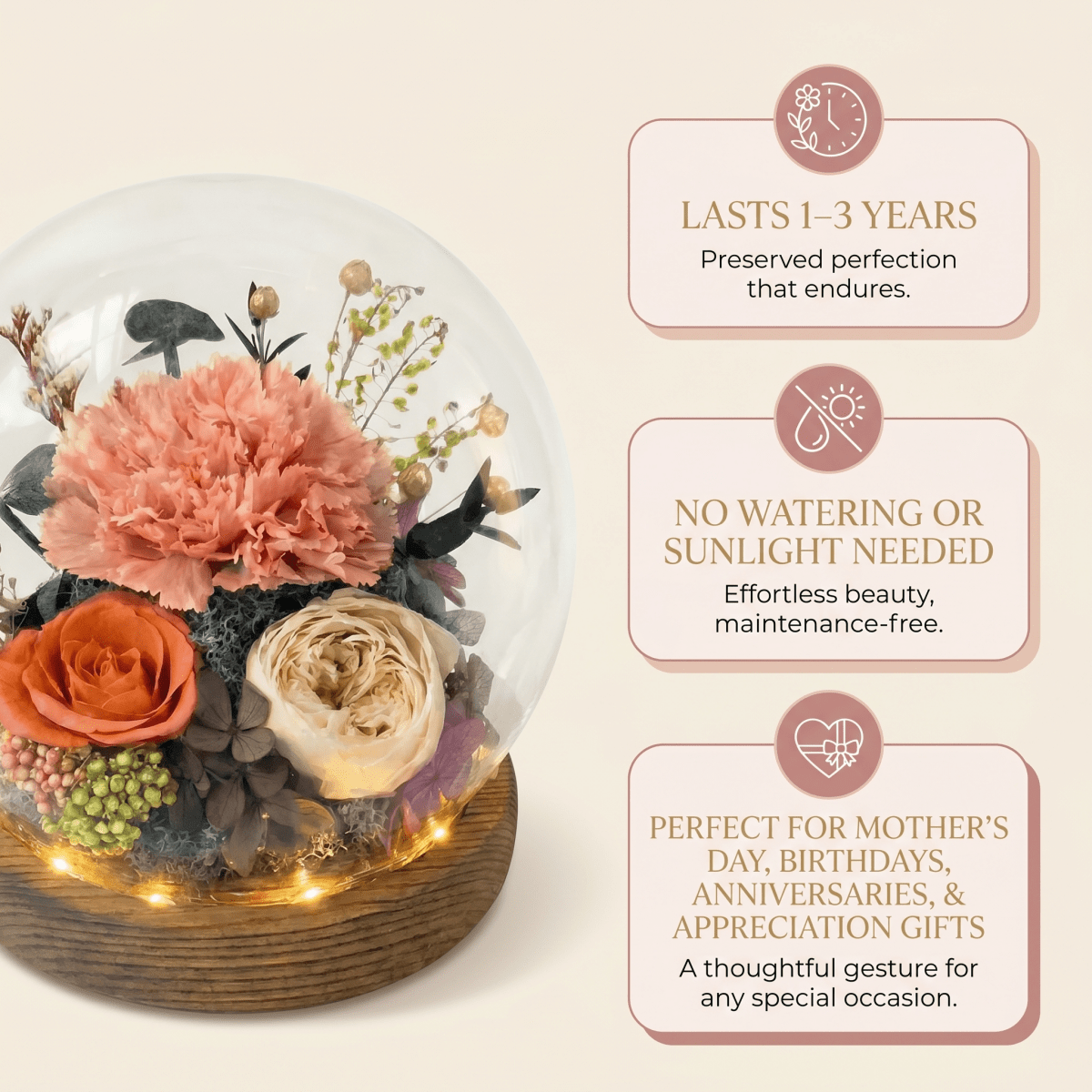 Carnation Blowball - Cuppa - Flowers - Preserved Flowers & Fresh Flower Florist Gift Store