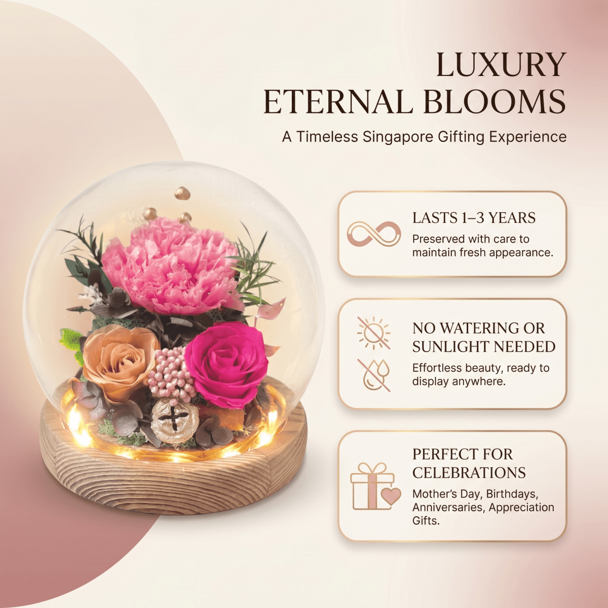 Carnation Blowball - Magenta - Flowers - Preserved Flowers & Fresh Flower Florist Gift Store
