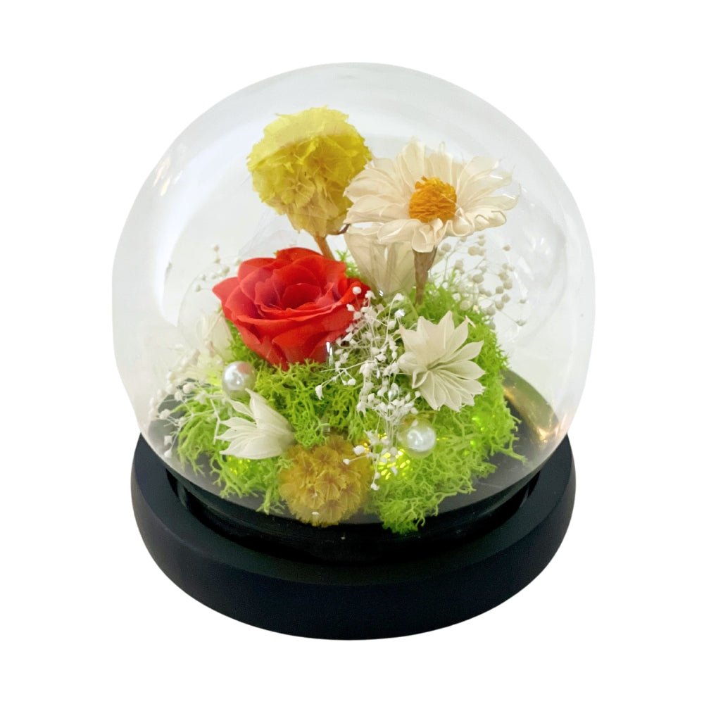 Erika- Orange - Flower - Preserved Flowers & Fresh Flower Florist Gift Store