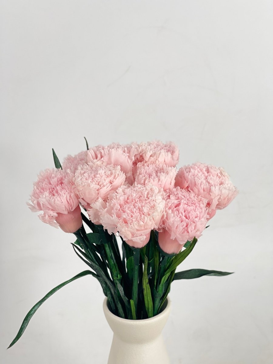 Everlasting Carnation - Flowers - 12 Carnation - Preserved Flowers & Fresh Flower Florist Gift Store