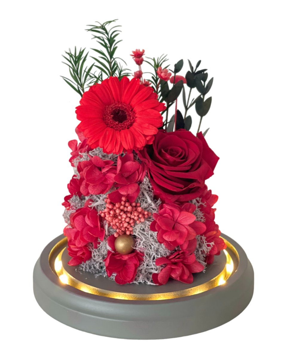 Gerbera Daisy Dome - Red - Flowers - Preserved Flowers & Fresh Flower Florist Gift Store