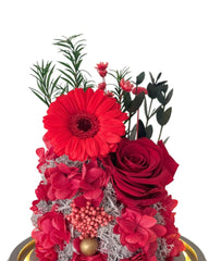 Gerbera Daisy Dome - Red - Flowers - Preserved Flowers & Fresh Flower Florist Gift Store