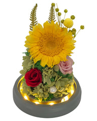 Nami Sunflower Dome - Flowers - Preserved Flowers & Fresh Flower Florist Gift Store