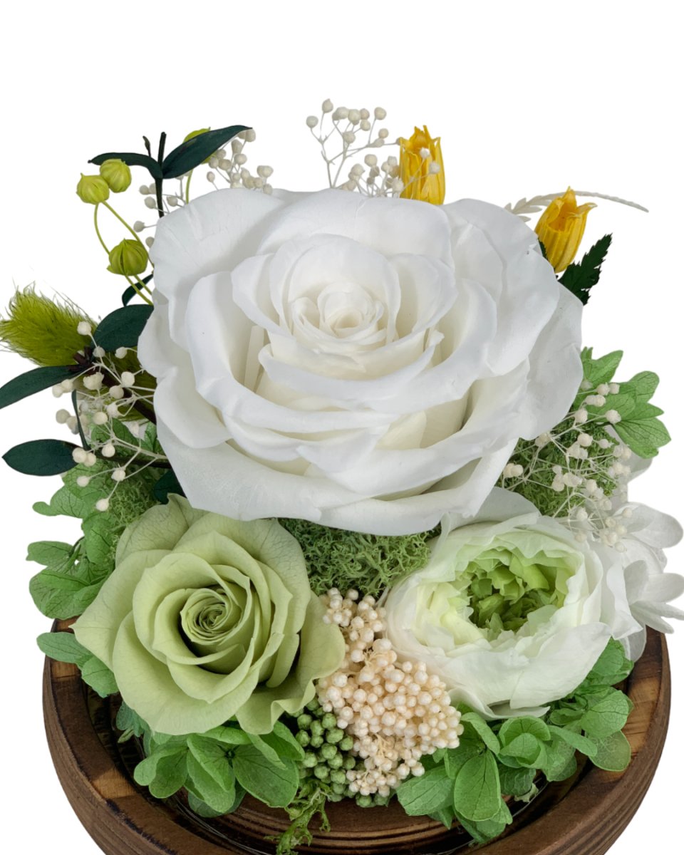 Rose Blowball - Green-White (With Gift Box) - Flowers - Preserved Flowers & Fresh Flower Florist Gift Store