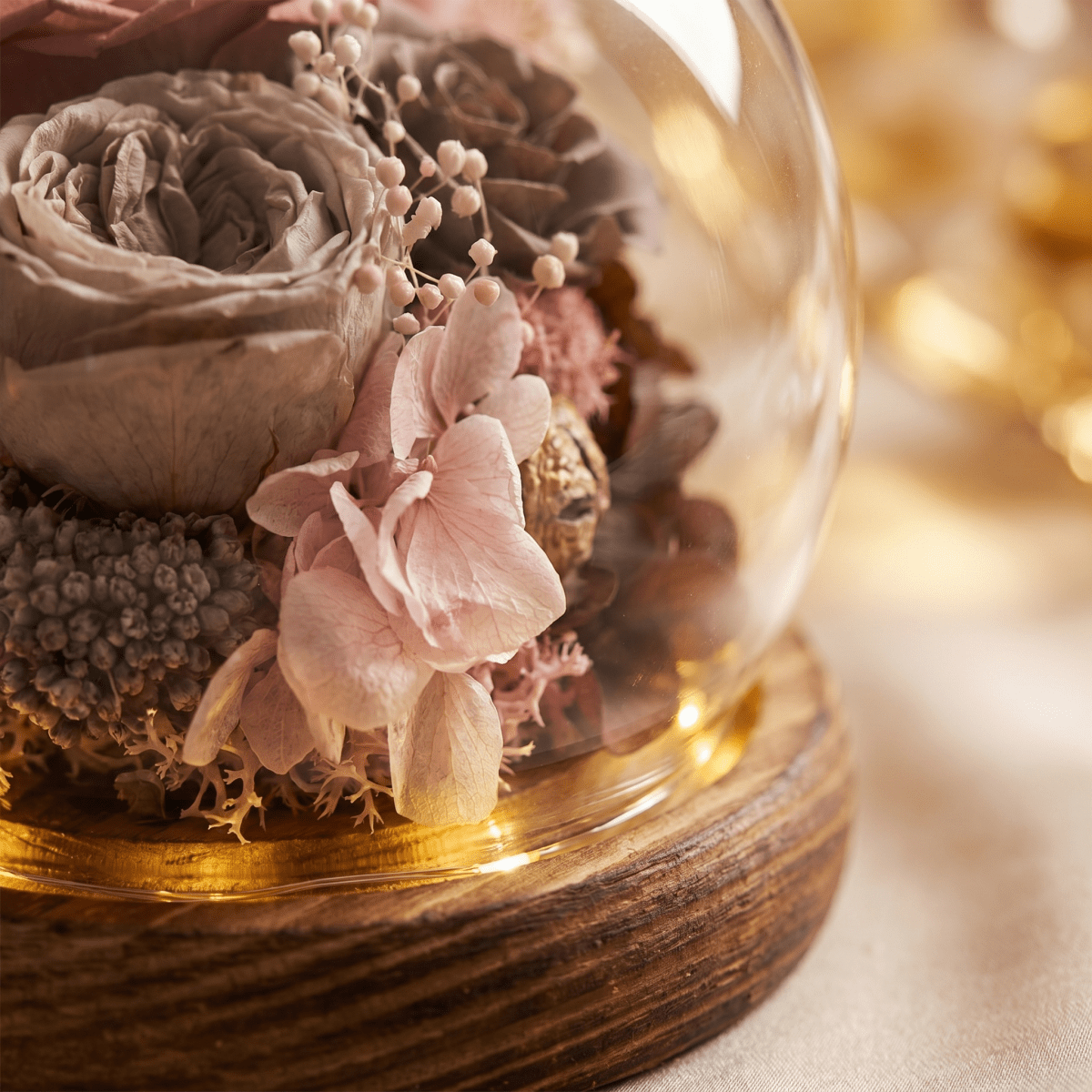 Rose Blowball - Mayard Cuppa - Flowers - Preserved Flowers & Fresh Flower Florist Gift Store