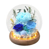 Carnation Blowball - Blue (with gift box)