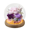 Carnation Blowball - Purple (with gift box)