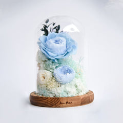 Aurora Flower Dome - Flower - Pink - Preserved Flowers & Fresh Flower Florist Gift Store