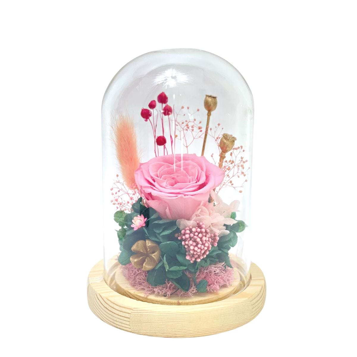Blush Pink - Flower Dome - Flower - Preserved Flowers & Fresh Flower Florist Gift Store