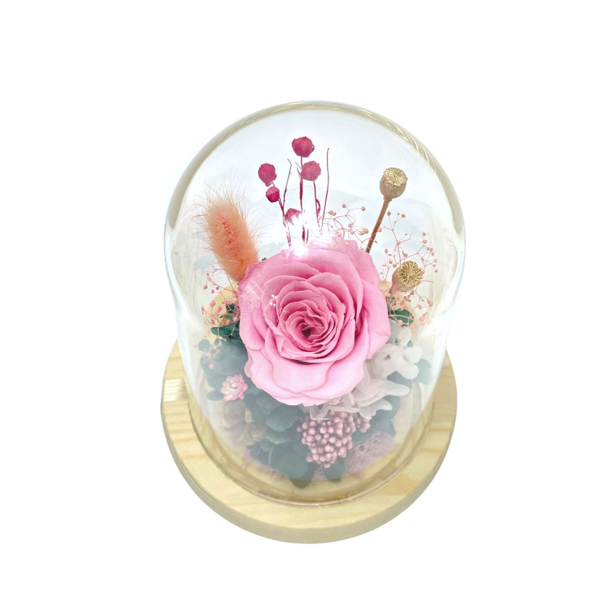 Blush Pink - Flower Dome - Flower - Preserved Flowers & Fresh Flower Florist Gift Store