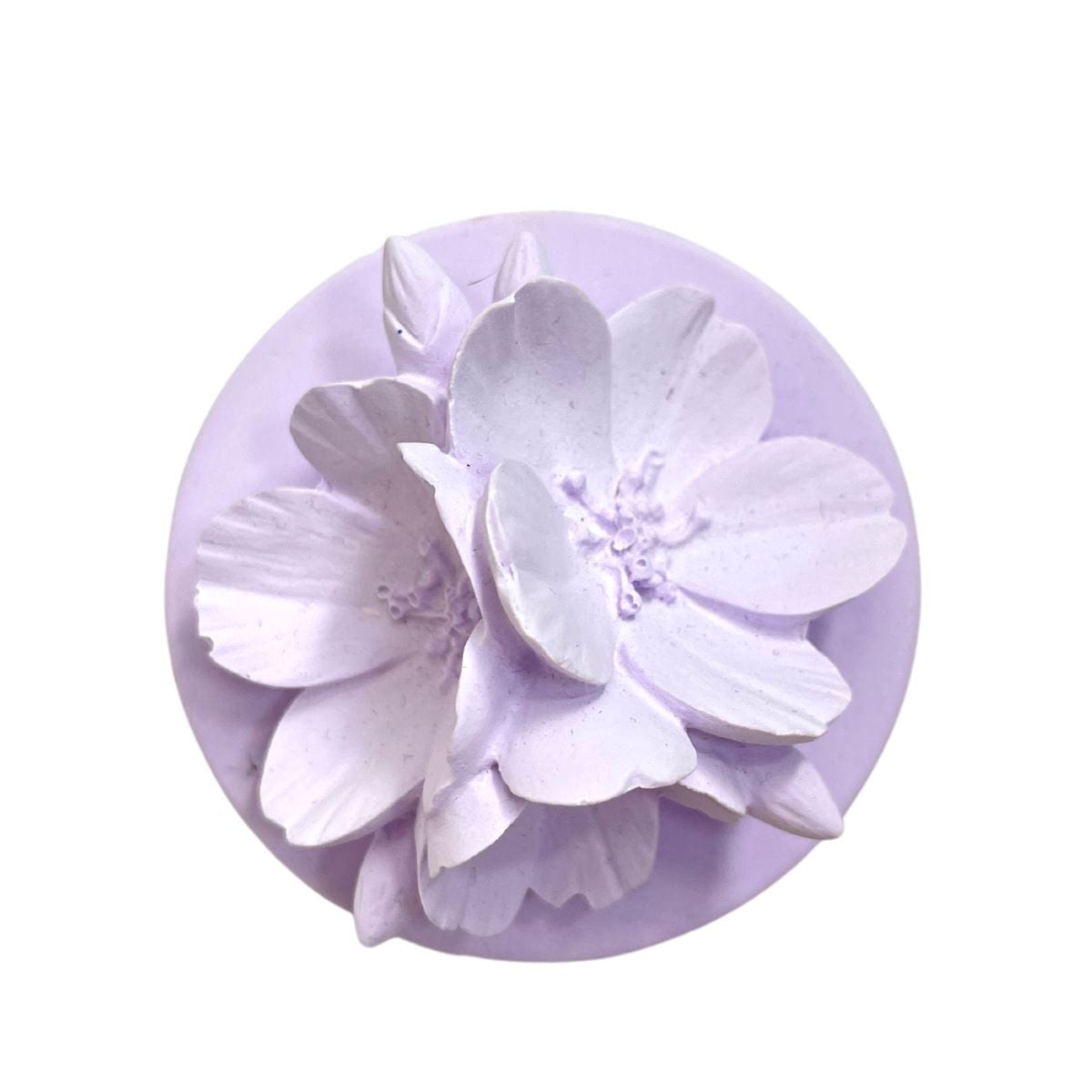 Canola - Flower Clay Scent Diffuser - Scent - Lilac - Preserved Flowers & Fresh Flower Florist Gift Store