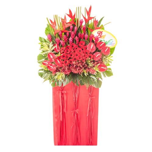 Double Abundance - Congratulatory Flower Stand - Flower - Preserved Flowers & Fresh Flower Florist Gift Store