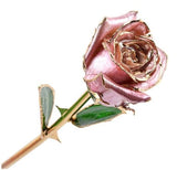 Eternal Rose in Close Bloom style - Pink - Flower - Tumbleweed Plants - Online Plant Delivery Singapore