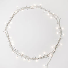 Fairy Lights - Add Ons - Warm - Preserved Flowers & Fresh Flower Florist Gift Store