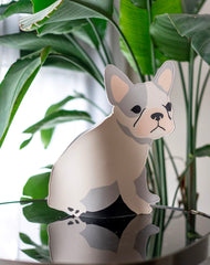Frenchie Collapsible Vase - Add Ons - Preserved Flowers & Fresh Flower Florist Gift Store