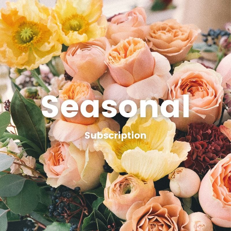 Fresh Flower Arrangement [Seasonal] - Flower Subscription - Flower - Original - Preserved Flowers & Fresh Flower Florist Gift Store