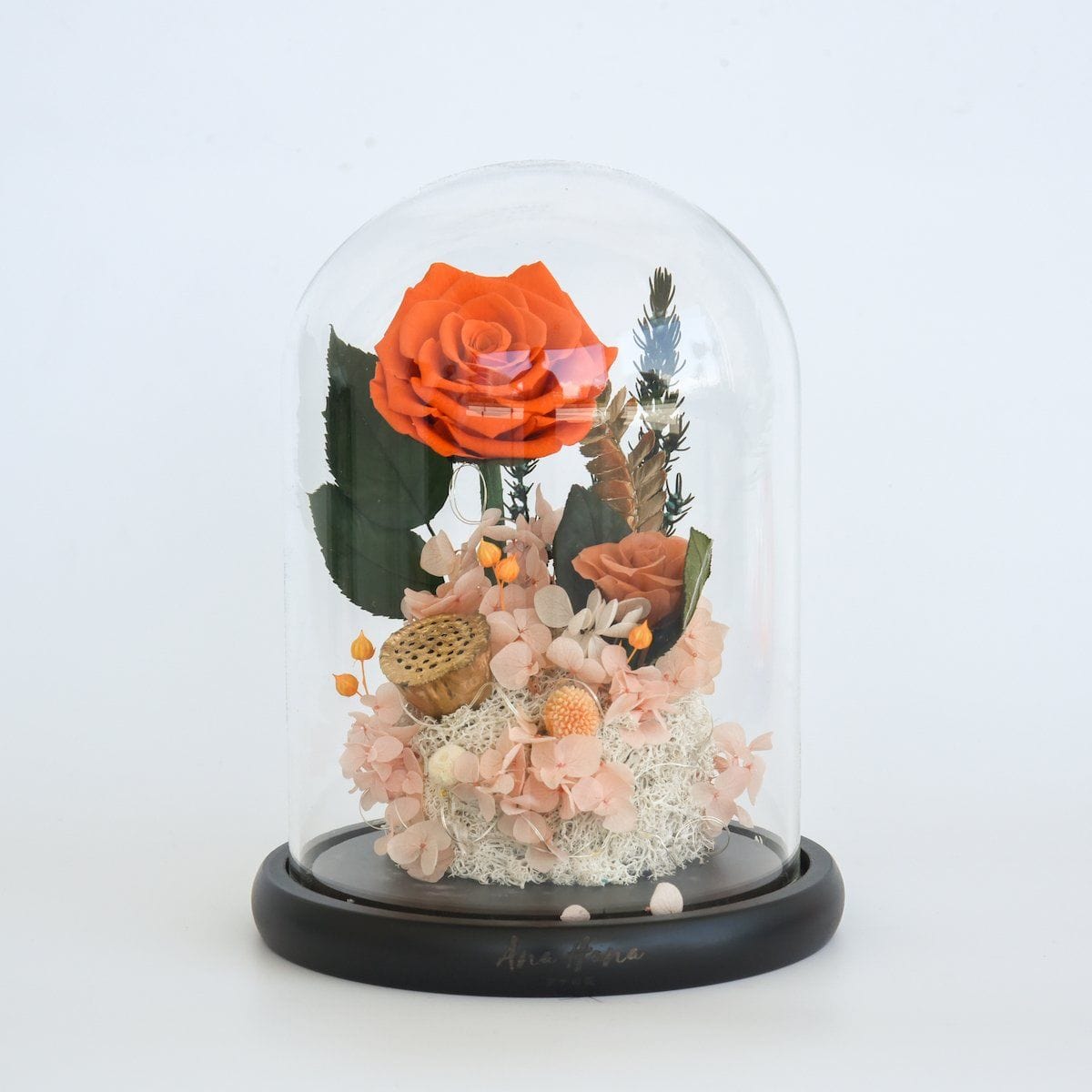 Hayami - Large Preserved Hydrangea/Rose Dome - Flower - Preserved Flowers & Fresh Flower Florist Gift Store