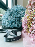 Hey Baby! - Flower - Original - Preserved Flowers & Fresh Flower Florist Gift Store