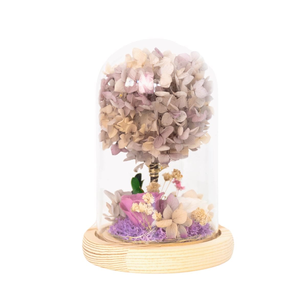 Hydarium Dome - Flower - Lilac あじさい - Preserved Flowers & Fresh Flower Florist Gift Store